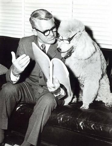 Cary-Grant-Dog